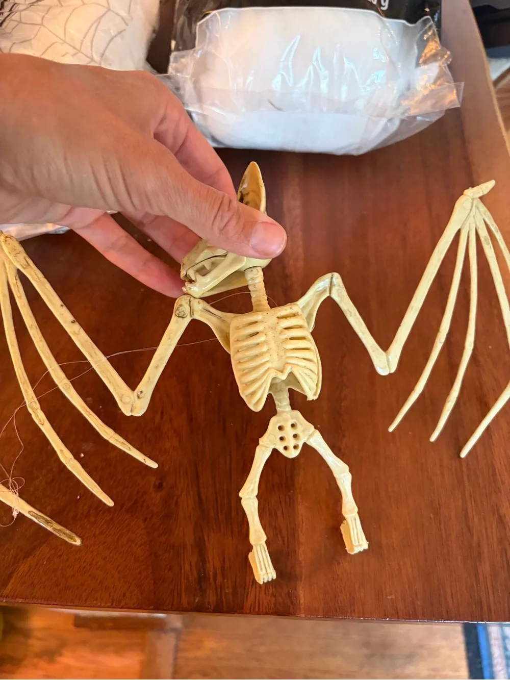 Halloween skeleton bats and spider webs